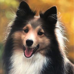 Custom Pet Portrait Oil Painting Package