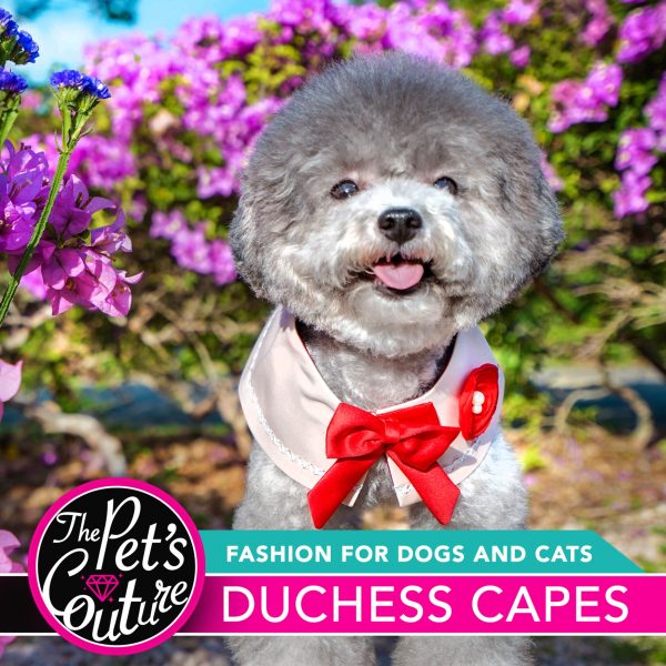 Duchess Capes - Delilah