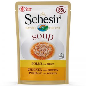 Schesir