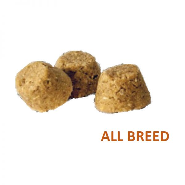 Oven-Baked Tradition