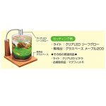 Gex Glass Aquarium Cylinder (3) - GEX - ReinBiotech