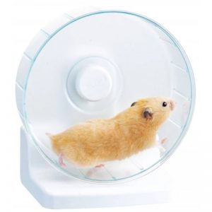 Gex Harmony Hamster Wheel 21 - GEX - ReinBiotech