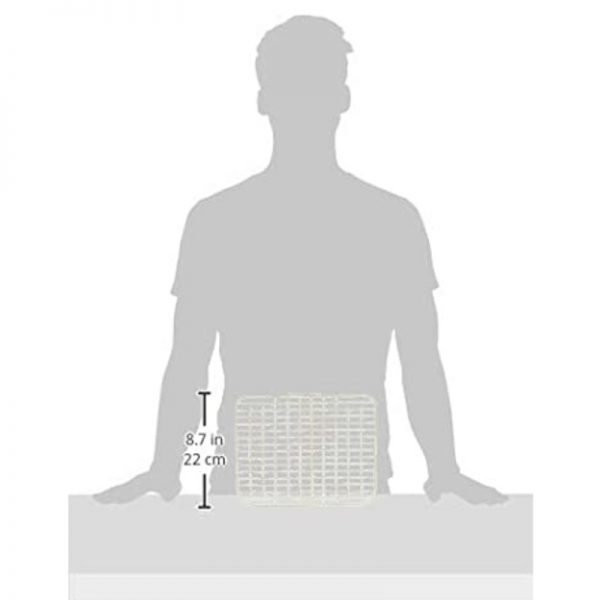 Gex Rabbit Rectangle Toilet GRID 1 - GEX - ReinBiotech