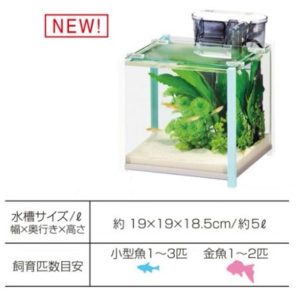 Gex qb Cube Big Blue - (Tank only) - GEX AQ - ReinBiotech