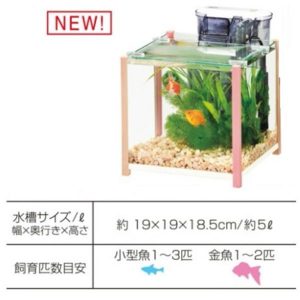 Gex qb Cube Big Pink - (Tank only) - GEX AQ - ReinBiotech