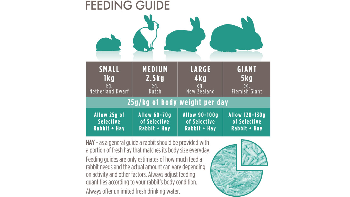 Science Selective Adult Rabbit (4) - Supreme - Reinbiotech