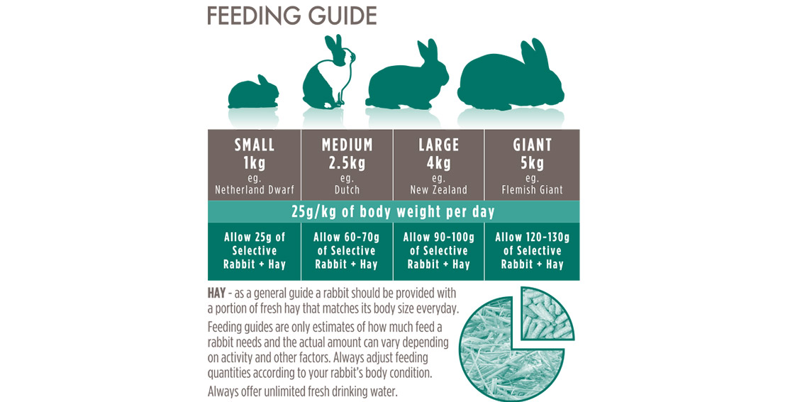 Science Selective Mature Rabbit 4 Yrs+ (5) - Supreme - Reinbiotech