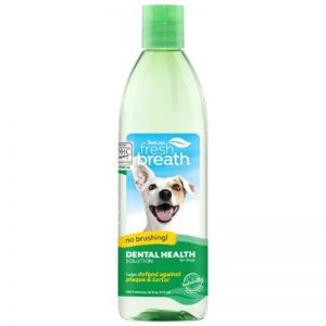 TropiClean Fresh Breath Dental Health Solution for Dogs, 16oz - Dental Health Solution - TropiClean - Silversky