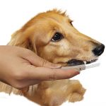 DM-94579 Gentle Dog Toothbrush 3 - DoggyMan - Noble Advance