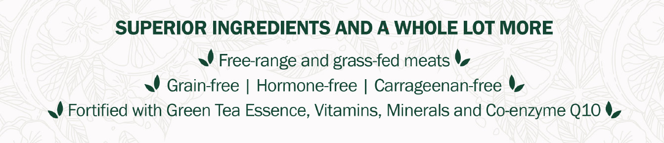 Dog Canned - Nurture Pro - Yappy Pets (1)