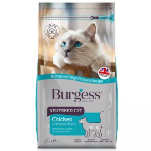 Neutered Cat - Burgess - Yappy Pets