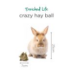 O9134 Crazy Hay Ball (7) - Oxbow - Yappy Pets