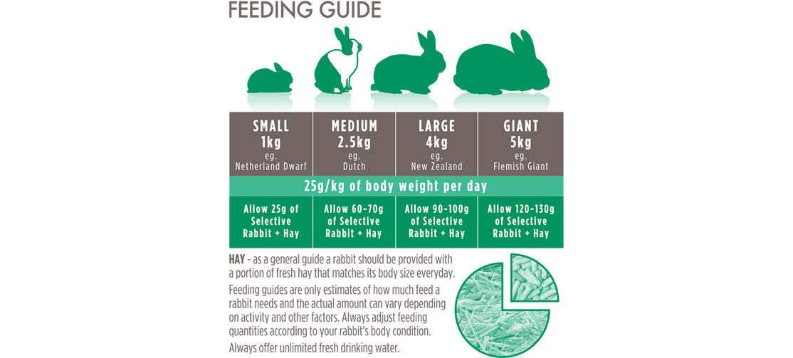 Science Selective House Rabbit (5) - Supreme - Reinbiotech