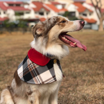 Capes - Burgundy Collar with Burberry Inspired Tartan 1