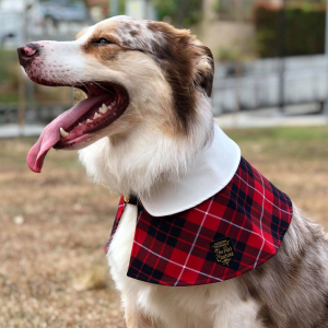 Capes - Cream Collar with Burgundy Tartan Prints 1