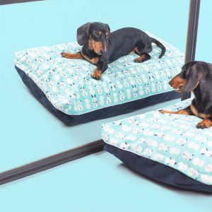 DreamCastle Cooling Dog Bed For puppies to medium sized breed Coby (1)