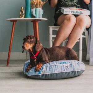 Dreamcastle Dino ROund Dog Bed