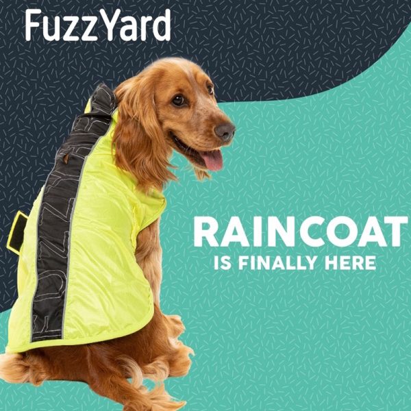 FuzzYard