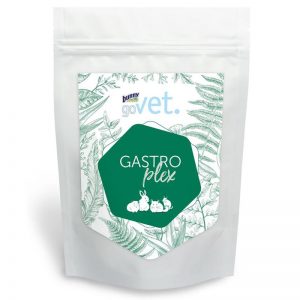 BN30216 goVET GASTROplex 325g