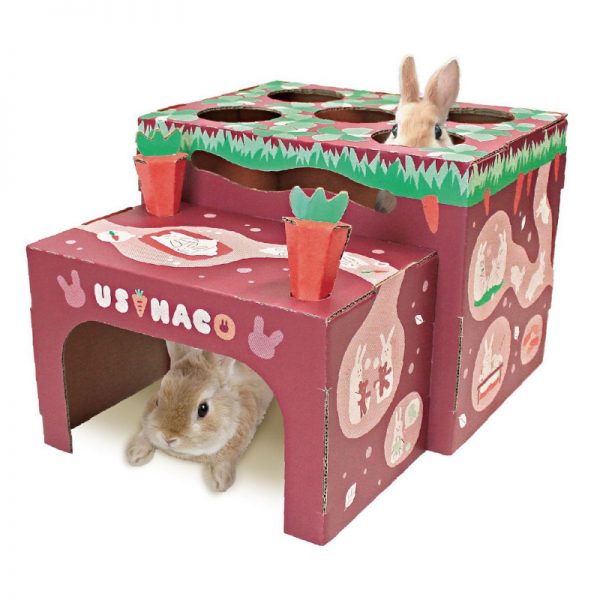 DM-24729 Playing House For Rabbit