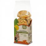 JR20403 JR Grainless Health Dental-Cookies Carrot 150g (1)