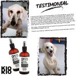 KIO Pets Electrolyzed Colloidal Silver