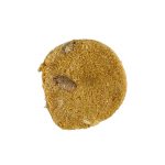 FFTG-9180 Freeze Dried Salmon & Cranberry Cookies