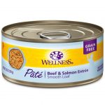 WN-CCBeefSal Wellness Complete Health Pate Wet Food 5.5oz)