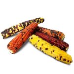 PKPE34 - Baby Sweet Corn 160g