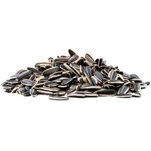 PKJP241-Xtra-Bite-Sunflower-Seeds-180g