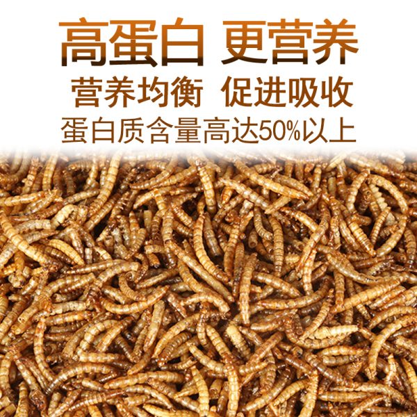 PKJP36-Dried-Meal-Worms-60g