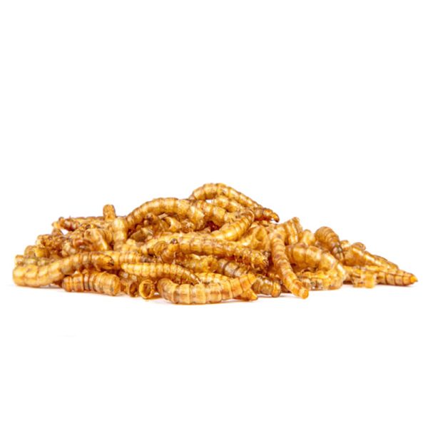 PKJP36-Dried-Meal-Worms-60g