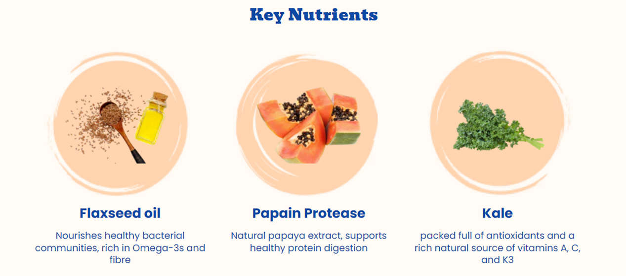 Happy + Healthy Treat Therapeutics