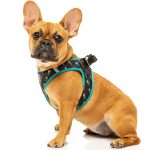 FY52140 FuzzYard Volt Step-in Dog Harness (XX-Small) | E-Store Clubpets