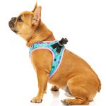 FY52478 FuzzYard Hey Suckers! Step-in Dog Harness (XX-Small) | E-Store Clubpets