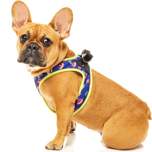 FY52584 FuzzYard Extradonutstrial Step-in Dog Harness | E-Clubpets