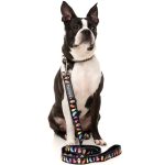 FY72186 FY72193 FuzzYard Dog Lead, Bed Bugs