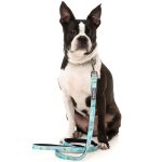 FY72391 FY72384 FuzzYard Wakey Wakey Lead | E-Clubpets