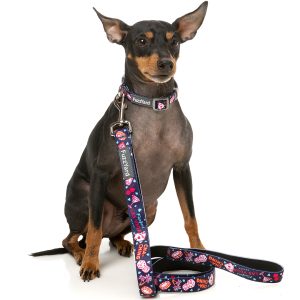 FY77068 FY77051 FuzzYard Jackpup Lead | E-Clubpets