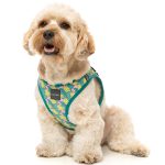 FuzzYard Bananarama Step-in Dog Harness