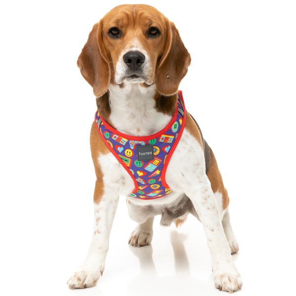 FuzzYard Highscore Step-in Dog Harness