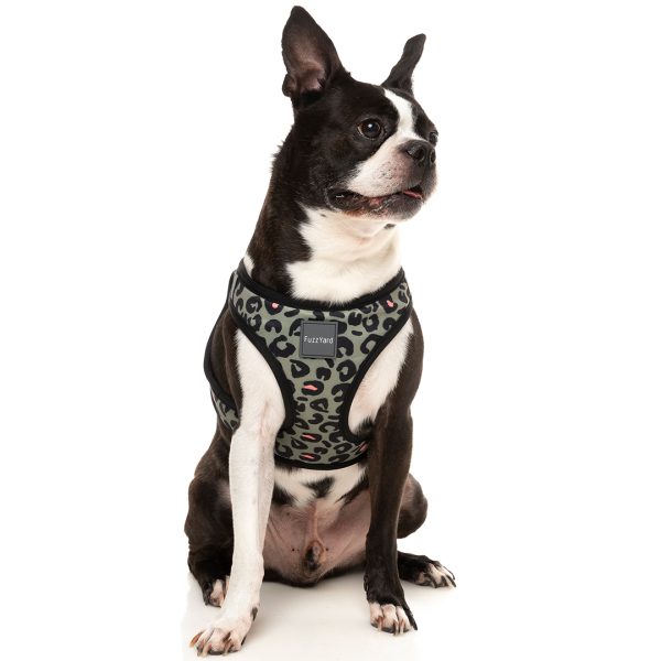 FuzzYard Savanna Step-in Dog Harness