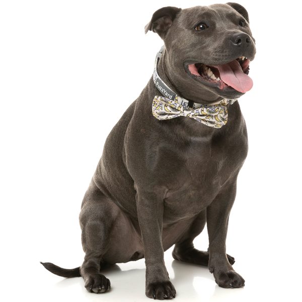 FY80877 FY80884 FuzzYard Go Bananas Pet Bowtie