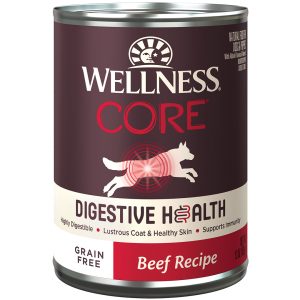 WN-WD-DHCOREBEEF Wellness CORE Digestive Health