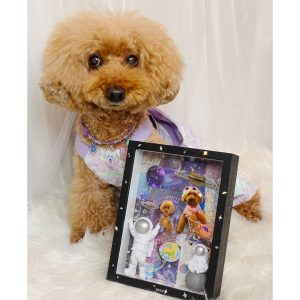 Galaxy Photo Frame Workshop