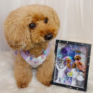 Galaxy Photo Frame Workshop