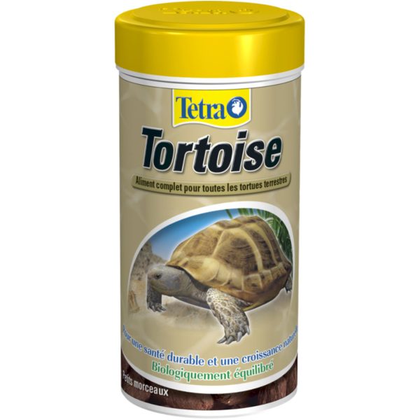 TT709037-708997 Tetra Tortoise