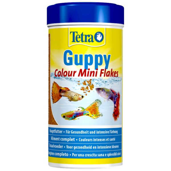 TT710861-TT710858 Tetra Guppy Color Mini Flakes