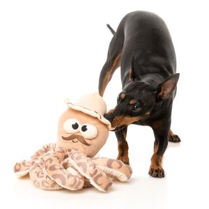 FY94133 Octo-Posse Dog Toy - Sir David Octoborough