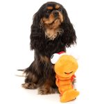 FY74845 FuzzYard Prawn Mendes Dog Toy Christmas Toys